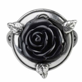 【即納】Alchemy / SUB ROSA POISON RING リング（R209）